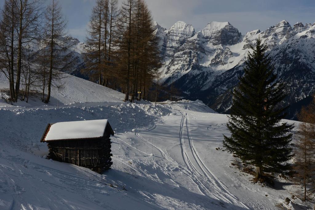 Haus Elisabeth Bed & Breakfast Neustift im Stubaital Ngoại thất bức ảnh