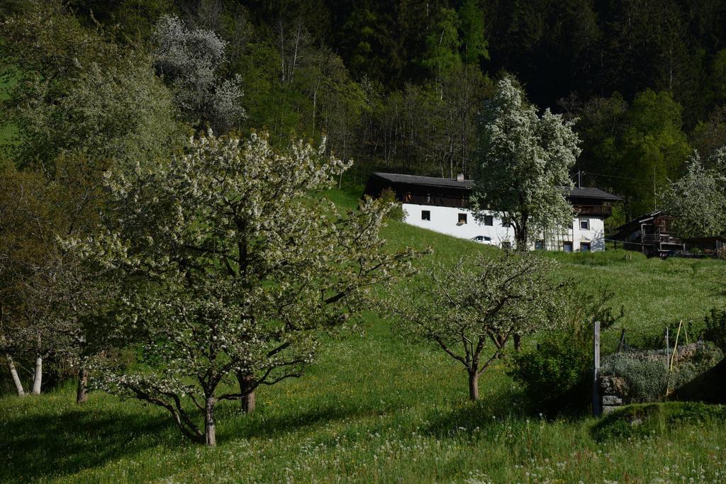 Haus Elisabeth Bed & Breakfast Neustift im Stubaital Ngoại thất bức ảnh