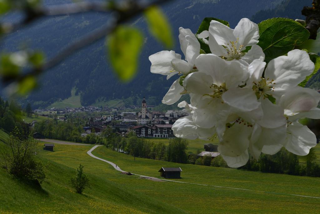 Haus Elisabeth Bed & Breakfast Neustift im Stubaital Ngoại thất bức ảnh